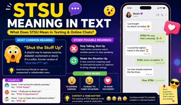 STSU Meaning in Text